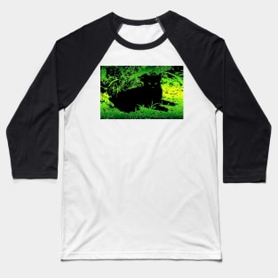 Black cat in the ferns Baseball T-Shirt